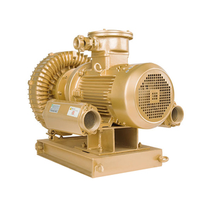 ATEX Approved Explosion Proof Side Channel Blowers and <b>Vacuum</b> <b>Pumps</b> With Frequency Conversion - Product Image 1