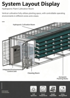 Ferme en conteneur maritime 40HQ entièrement automatisée, système d'agriculture verticale clé en main pour la production commerciale de légumes