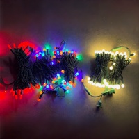 Guirlandes lumineuses LED G12 en PVC imperméables de qualité commerciale IP65 pour la décoration extérieure des fêtes