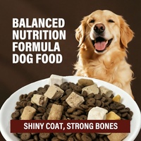 Vente en gros de nourriture sèche pour chiens adultes, nutrition complète, saveur viande, riche en protéines, saine, personnalisable, 2,5 kg, 5 kg, 10 kg, 15 kg, 20 kg, pour la peau et le pelage
