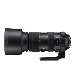 Objectif zoom ultra long d'occasion Sigma 60-600mm F4.5-6.3 DG OS HSM Sports pour monture Canon EF, plein format, prêt à être expédié - Product Image 1