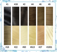 Extensions de cheveux naturels remy 6D à double bande, cheveux humains de haute qualité