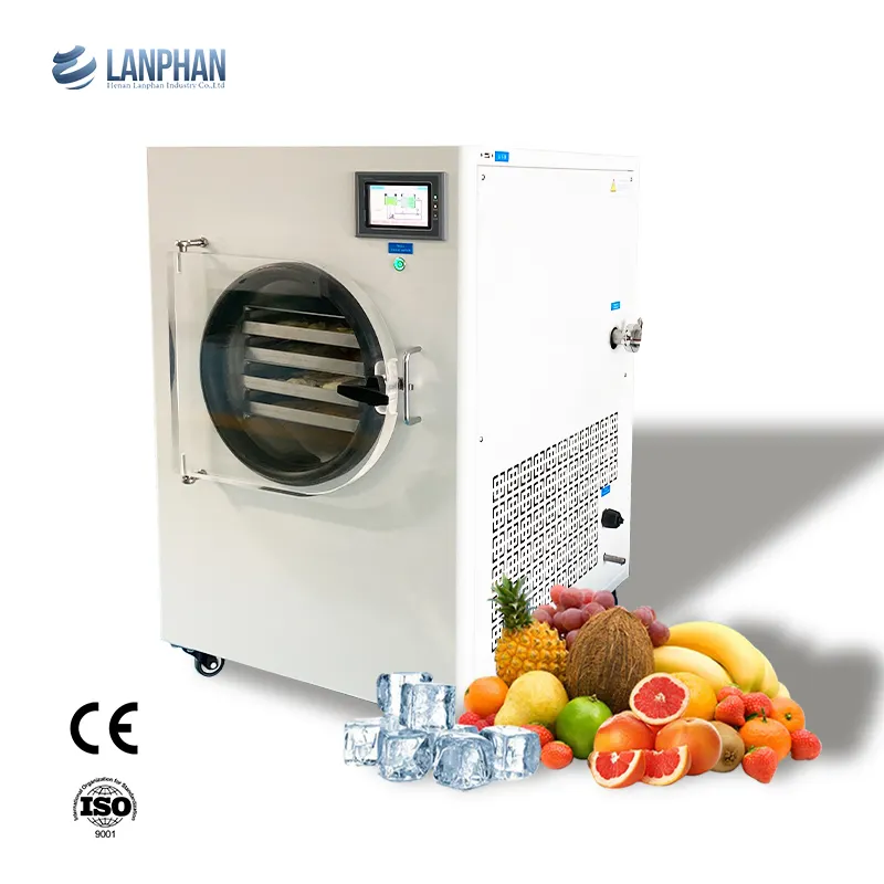 Fruit And Vegetable Freeze-Dryer Drying Equipment