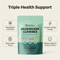 Gummies en gros OEM Véganes Complexe de Champignons 10-en-1 (Crinière de Lion, Ashwagandha) Adaptogène Nootropique Saveur Pêche