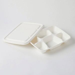 Boîte alimentaire blanche biodégradable en bagasse de canne à sucre, emballage jetable compostable pour plats à emporter, vaisselle à 4/5/6 compartiments - Product Image 2