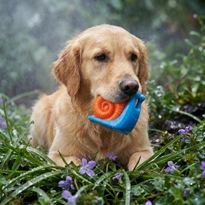 Jouet à mâcher pour chien en TPR en forme d'<span class=keywords><strong>escargot</strong></span>, résistant aux morsures, couineur, pour le nettoyage des dents, idéal pour les chiots, pour le jeu quotidien en intérieur et en extérieur, vente en gros sur mesure - Product Image 2
