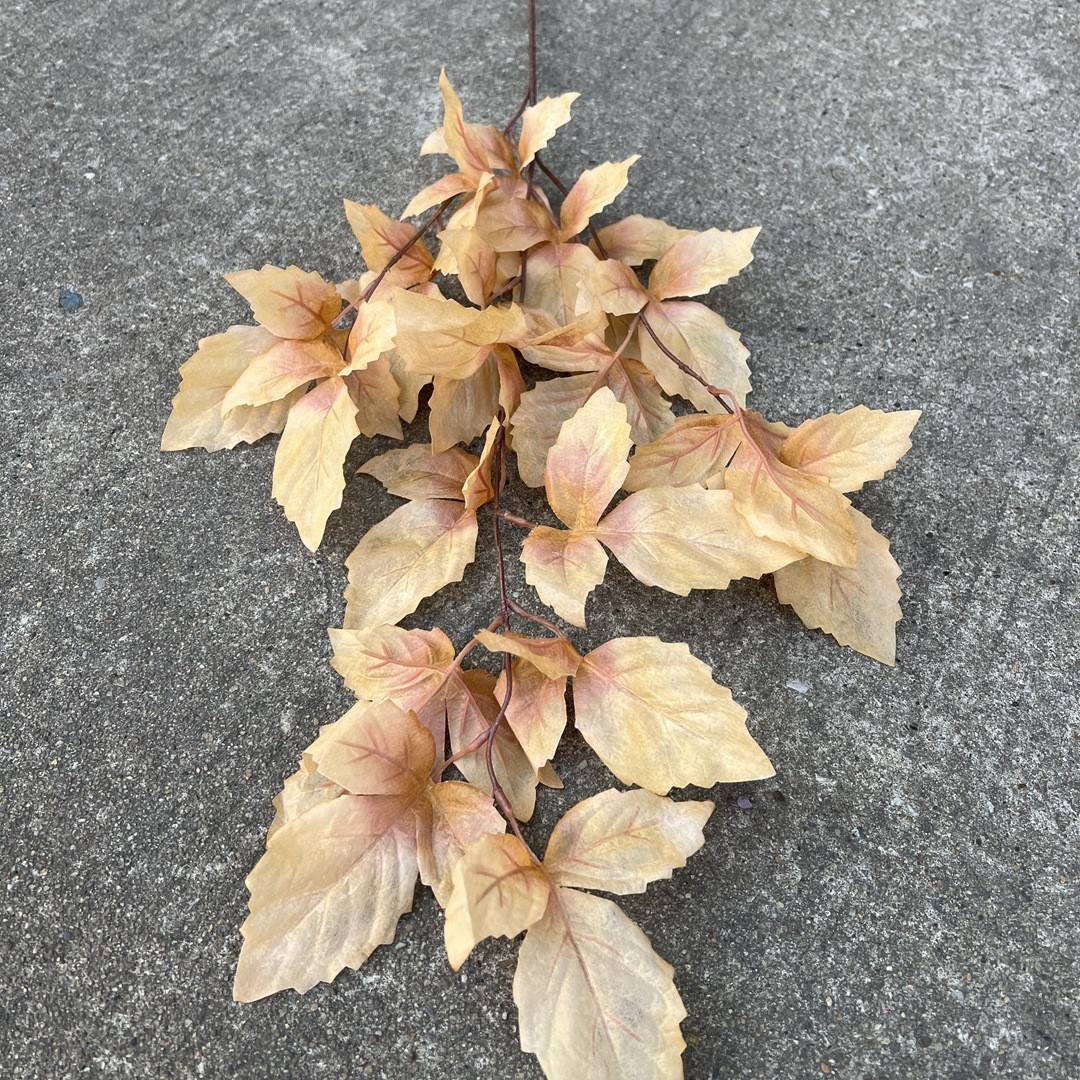 Feuilles indiennes jaunes