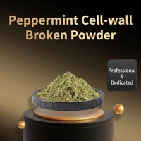 Poudre de menthe Breakwall en grande quantité, extraits de menthe de qualité alimentaire, fabrication SC, approvisionnement direct usine, chaîne d'approvisionnement OEM, conditionnement en bouteille