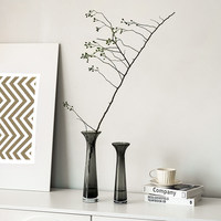 Vase à fleurs en verre transparent, minimaliste, pour une seule tige, plante aquatique, décoration moderne pour table à manger, bureau, ornement de maison