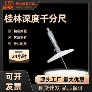Guilin Depth <b>Micrometer</b> 0-300mm 0.01mm Resolution Stainless Steel Interchangeable Rod - Product Image 5