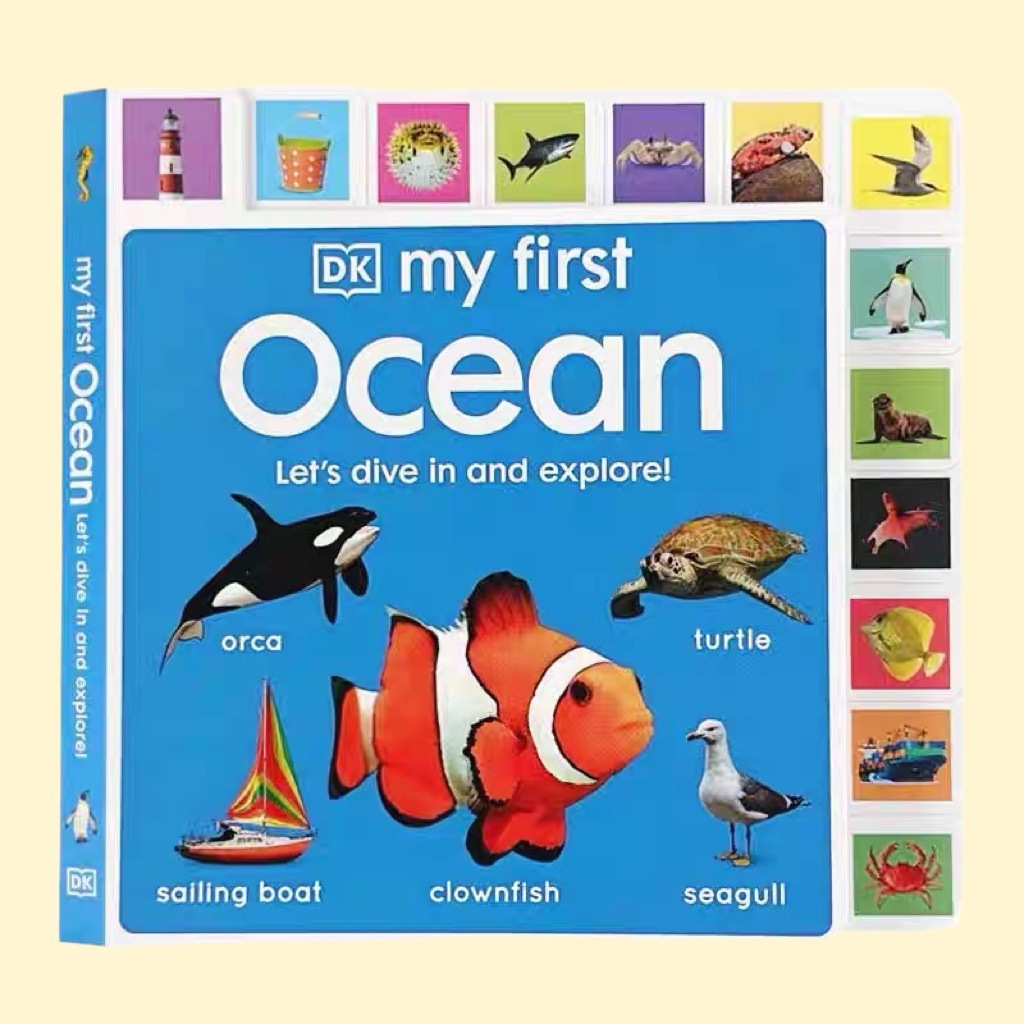 Ocean lace book