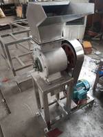 Hoge kwaliteit 2,2 kW motor fruitpers kokosnootknijper met een capaciteit van 0,5T/u