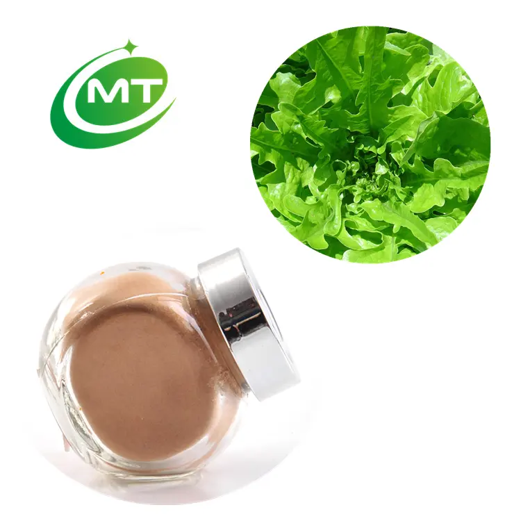100% natural Free Sample supply best price Organic hot sale Lactuca Virosa 12:1 Wild Lettuce Leaf Extract Powder