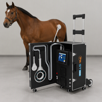 Appareil de magnétothérapie à boucle électromagnétique pulsée de type chariot pour la thérapie par champ électromagnétique pulsé, destiné à la récupération des articulations et des ligaments des chevaux atteints d'arthrite