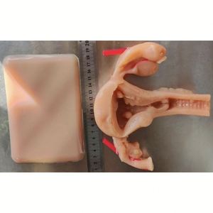 Modulo biomimetico KyrenMed 3D per taglio ginecologico laparoscopico sutura Stripping pratica simulato in Silicone uterino modello - Product Image 4
