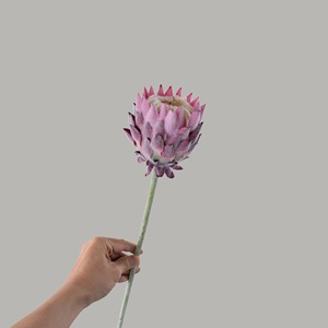 ดอกโปรเทียประดิษฐ์ CallaFloral สีขาวนม สีม่วงแชมเปญ กันน้ำ สำหรับตกแต่งงานแต่งงาน สไตล์ยุโรป แบบดอกไม้ผสม - Product Image 2