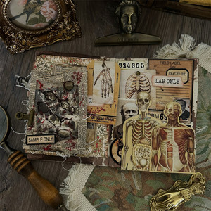 Matériel de scrapbooking DIY vintage : tissu, carton, photos, pour décoration d'albums, journaux, Happy Planner et projets de création sur le thème de l'anatomie et du macabre. - Product Image 3