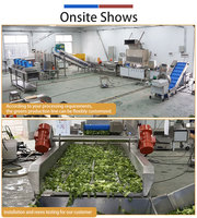 Kommerzielle Maßgefertigte Blattgemüse-Verarbeitungslinie 500-1000kg/h Wasch-, Schneid- und Entwässerungsmaschine für Salat, Rucola, Paprika