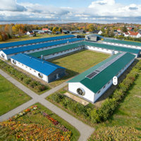 Conception et installation de bâtiments en structure métallique pour 10 000 poules pondeuses