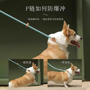 Hoopet <b>Dog</b> <b>Leash</b> P-Chain Integrated Anti Breakage Durable For Medium <b>Dogs</b> Walking Lead - Product Image 2