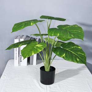 กระถางพลาสติกสีเขียว<span class=keywords><strong>ป</strong></span>ระดิษฐ์<span class=keywords><strong>ต้น</strong></span>ไม้ Ficus lyrata สำหรับตกแต่งภูมิทัศน์ในร่ม - Product Image 4