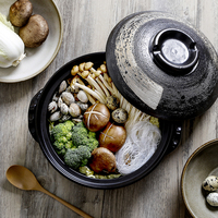 Casserole isolante en céramique de style japonais avec couvercle en céramique, durable, écologique, compatible avec les cuisinières à gaz, grande taille 27 cm