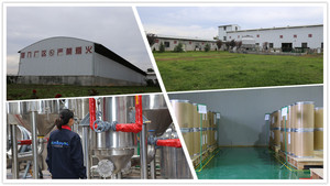 Chất Lượng Cao Tinh Khiết Hữu Cơ Trung Quốc Red <span class=keywords><strong>Date</strong></span> Wild Jujube Chiết Xuất - Product Image 6