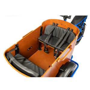 <span class=keywords><strong>Triporteur</strong></span> à trois roues Tricycle e-bike gros pneu famille enfant siège Lastenrad Cargo Trike boîte avant - Product Image 5