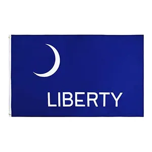 Bandiera personalizzata 3 x5ft Fort Moultrie Liberty Flag coloniale storia della rivoluzione americana