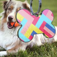 Personal isierte Hunde katze Name ID Tags Benutzer definierte Metall Anti-Lost Smart Pet Tag Scan QR-Code Knochen Hunde marke