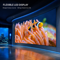 Écran LED flexible d'intérieur en couleur pour murs vidéo incurvés, aquariums, musées, salles d'exposition et installations créatives