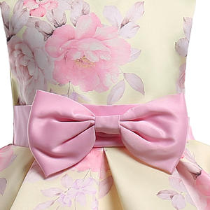 Oportunidades de Distribución: Vestido de Novia Innovador, Largo, Rosa, Sin Mangas, con Bordado y Estampado Personalizado - Product Image 6