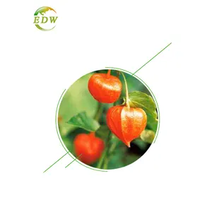 Best Price Withanolide 2.5% 5% 10% Ashwagandha Root Extract Powder