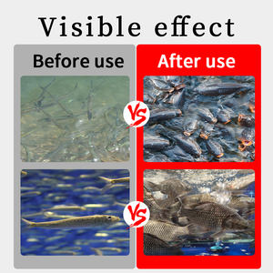 Bagre Tilapia Promotor del crecimiento Vitaminas de grado alimenticio Aminoácidos Aumenta el apetito Come más Crece más rápido Aumenta las ganancias agrícolas - Product Image 2