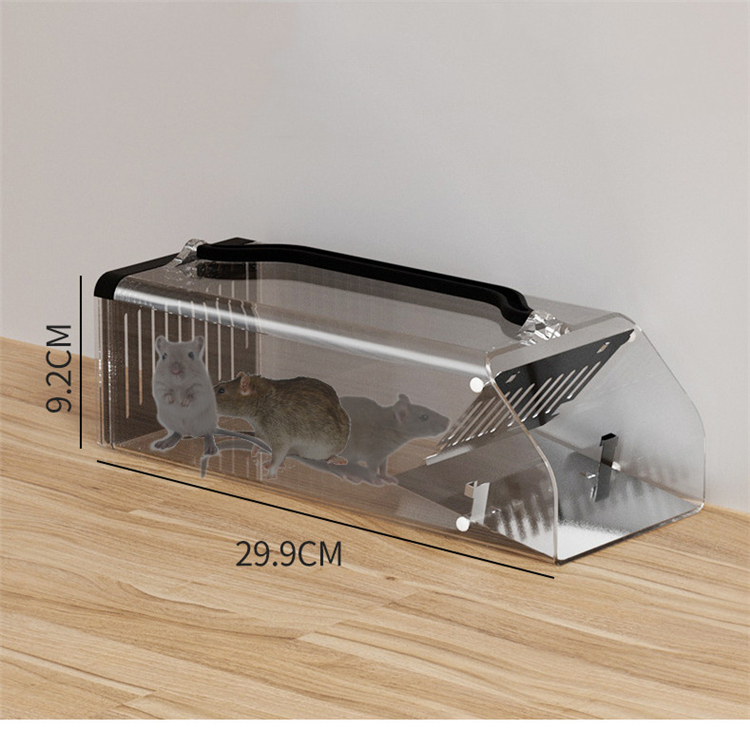 Transparent
