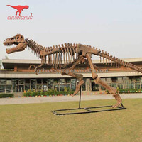 Exposition de musée en fibre de verre taille réelle os de rapace dinosaure squelette sculpture réplique modèle décoration puzzles