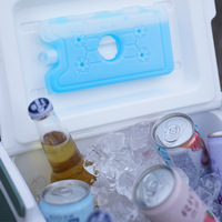 Glacières de camping extérieures montées sur véhicule, réfrigération commerciale, utilisation pour la pêche, conservation de la chaleur, matériau HDPE, logo