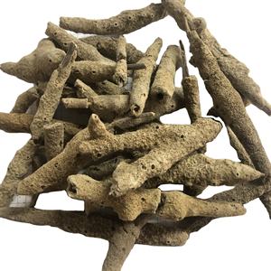 Zi Shao Hua Natural Secado Todo Spongilla Fragilla Dry Spongilla <span class=keywords><strong>Fragilis</strong></span> para Hierba - Product Image 1