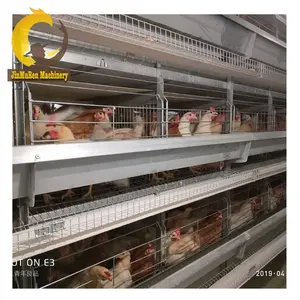 Jinmuten automático frango gaiola equipamentos em Poultry farm projeto