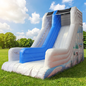 Custom <b>Large</b> Outdoor Commercial PVC Inflatable Water <b>Slide</b> Skiing <b>Slide</b> for Shopping Mall Use High Capacity WINSUN - Product Image 1