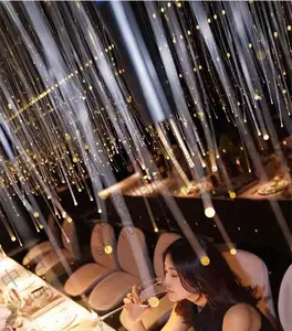 حفل زفاف الديكور جذع الصمام سلسلة الألياف البصرية ، أضواء الصفصاف