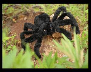 Decorazione Horror per Feste in Giardino a Tema Casa Stregata, Ragno Nero Peloso e Realistico in Peluche per Halloween - Product Image 1