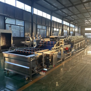 Línea de Lavado Industrial Comercial para Frutas, Lavadora de Fresas y Arándanos para Producción de Smoothies y Jugos - Product Image 6