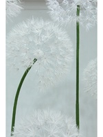 J-331 Fleurs de pissenlit géantes en papier de couleur blanche faites à la main pour la décoration de mariage, fleur en papier pour la décoration de fête, décoration de vitrine