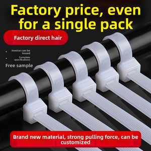 روابط كابلات ذاتية الإغلاق من النايلون 66 صديقة للبيئة بأحجام متنوعة من مصنع صيني مباشرة - Product Image 3