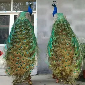 olive vert ornements de mariage Suppliers-Grande décoration de paon blanc 40 cm, ornement de mariage, fausse chevelure, longue queue de paon blanc