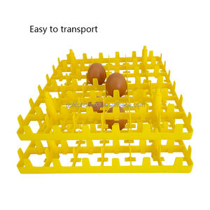 Yyc plateau d'incubation d'oeufs de cellules en plastique réutilisables pour le plateau d'incubateur d'oeufs de poulet 36 plateau d'oeufs de poulet - Product Image 5