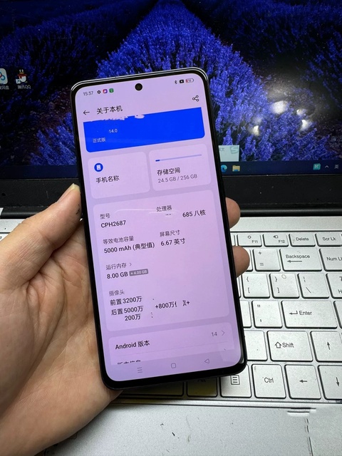 Factory Wholesale OP Reno12F Unlock 6.67 Inch 120Hz AMOLED 5000mAh Dual SIM 5G Smartphone