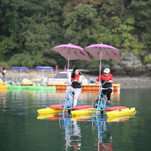 QIQU Vélo aquatique à coque rigide en PE et aluminium, 2 places, à faible entretien, pour usage commercial en station balnéaire - Product Image 3