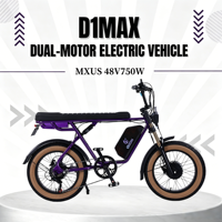 Vélo électrique de ville avec prise US/EU/AU, batterie lithium 48V, frein à disque hydraulique double sur moyeu arrière, pneu large 20 pouces, pour adulte, type VTT